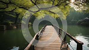 wooden bridge over lake nature park scenery in spring, Hangzhou, Xihu lake, lants and water with bridge