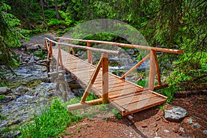 Wooden bridge over a mountain river in the forest.