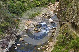 Wooden bridge over mountain spring