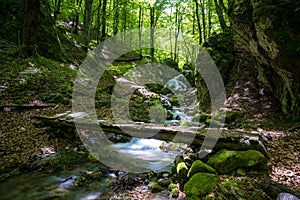 Wooden bridge over a mountain stream