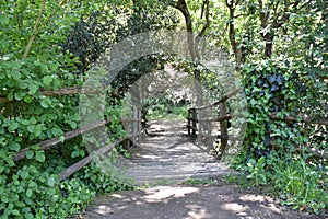 A wooden bridge over a mountain stream photo