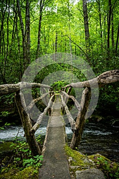 Wooden Bridge over Noland Creek in the Smokies photo