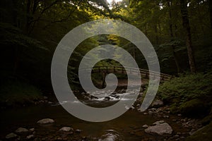 A wooden bridge over a peaceful forest stream