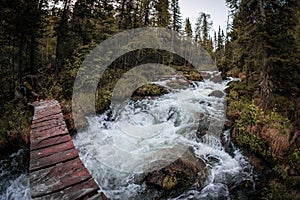 A wooden bridge over a rapid mountain stream in Taiga boreal forest
