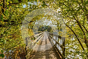 Wooden bridge over the Rhine River