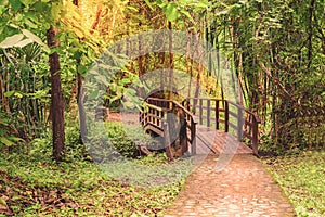 Wooden bridge over rill forest in national park