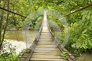 Wooden bridge over a river