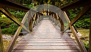 Wooden bridge over the river in the forest.