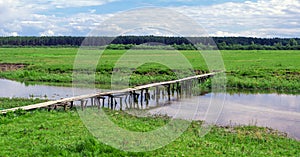 Wooden bridge over river in green field near forest