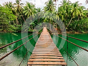 Wooden bridge over the river in the tropical jungle of the Philippines