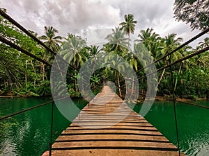 Wooden bridge over the river in the tropical jungle of the Philippines