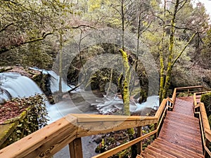 Wooden bridge over a serene stream, surrounded by moss-covered rocks and dense trees, creating a peaceful and picturesque forest photo