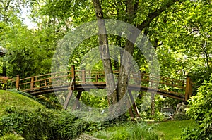 Wooden bridge over a small river