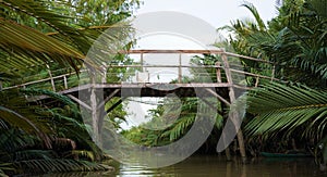 Wooden Bridge over a small river. A lot of tropical Palm tree leaves.