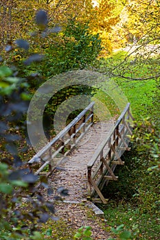 a wooden bridge over a small stream in a forest with lots of trees and grass on both sides of it