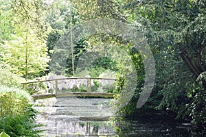 Wooden Bridge over stream in forest