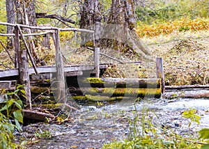 Wooden bridge over stream in the forest.