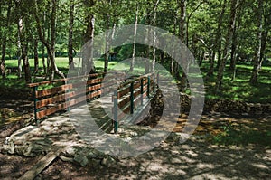 Wooden bridge over stream in a leafy grove