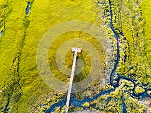 Wooden bridge over a swamp from above