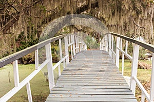 Wooden Bridge Over Swamp in South Carolina SC