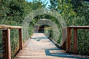 Wooden bridge over the wetlands in the gardens
