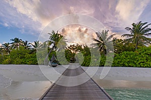 wooden bridge into paradise island resort. Tropical nature pattern, luxury resort in Maldives. Palm trees calm sea sunset sky