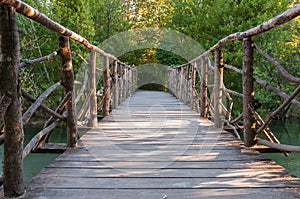 Wooden bridge in a park