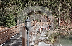 Wooden bridge in the park landscape