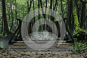 Wooden bridge in the park, mysterious forest