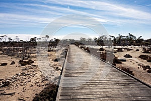 The wooden bridge path above a desert in Western Australia with a dried lake near Hyden, Wave Rock