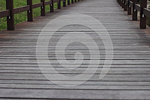 Wooden bridge path