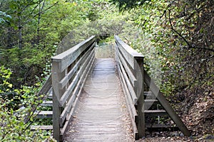 Wooden Bridge on path in park green trees