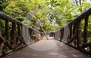 The wooden bridge path among wild forest