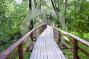 Wooden bridge path winding through green forest, nature photo