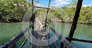 Wooden bridge pathway, Curu Wildlife Reserve, Costa Rica wildlife