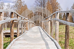 Wooden bridge pathway through the forest in galicia spain