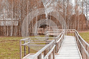 Wooden bridge pathway through the forest in galicia spain