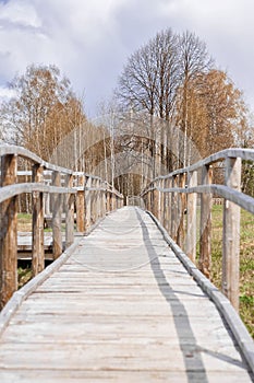 Wooden bridge pathway through the forest in galicia spain