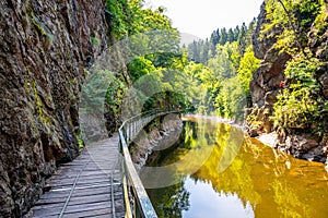 Wooden bridge pathway on Rieger Trail