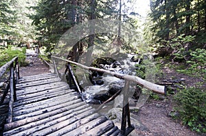 Wooden bridge and pathway in Vitosha Mountain forest Bulgaria