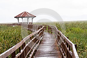 Wooden bridge and pavilion lake on drop raining in Sam Roi Yot