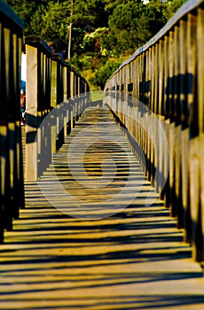 Wooden Bridge - Pedestrian Walkway - Perspective