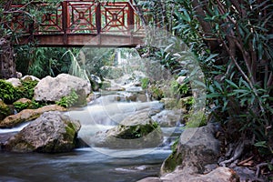 Wooden bridge for pedestrians over the river with rapids and waterfalls in the thickets of oleander