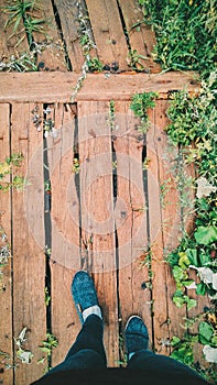 Wooden bridge with plants. The Boards Are Old. Wooden background.