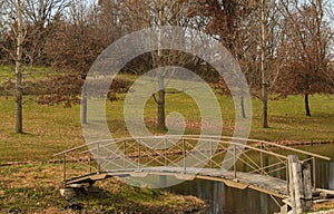 Wooden Bridge on a Pond