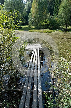 Wooden bridge on the pond. Forest landscape. Nature.