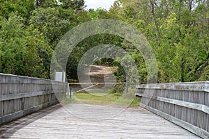 The wooden bridge is a portal to other trails to hike in the Egans Creek Greenway