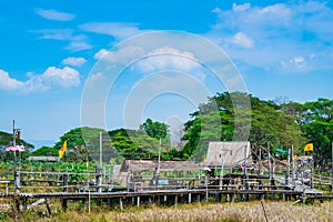 The wooden bridge with rice field at Phrathat San Don temple