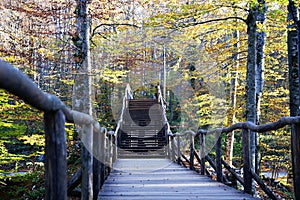 Wooden bridge through the river . Autumn season