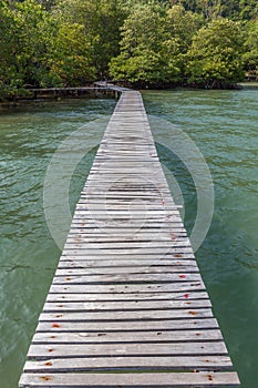 The wooden bridge on sea for nature sightseeing pathway.